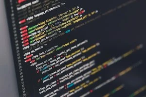 Web development